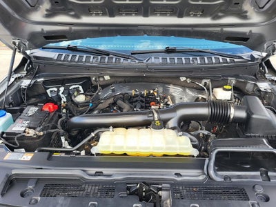 2024 Ford Expedition XLT